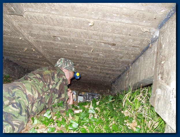 600x449 pixels (172K)